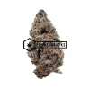 Purple Gursher - Online Dispensary Canada - Buyweedpacks