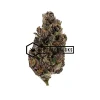 Purple Gusher - Buy Weed Online - Buyweedpacks
