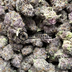 Purple Gursher - Online Dispensary Canada - Buyweedpacks
