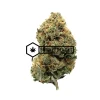 Tuna Kush | Buy Online Weeds | Buyweedpacks