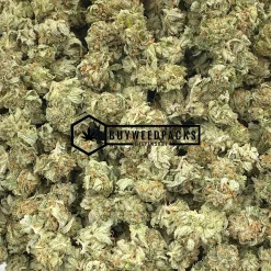 White Death Popcorn - Online Dispensary Canada - Buyweedpacks